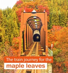 The train journey for the maple leaves~